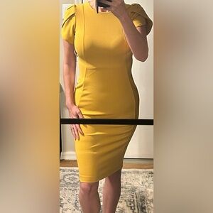 Calvin Klein Crew-Neck Knee-Length Tulip-Sleeve Sheath Dress